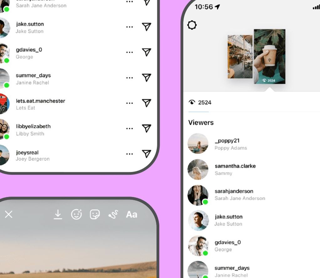 Viewer Story Instagram