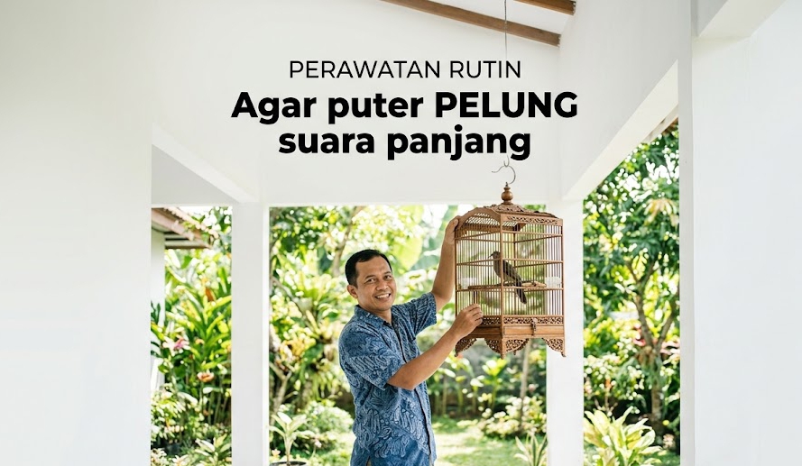 Perawatan Agar Suara Burung Puter Keras